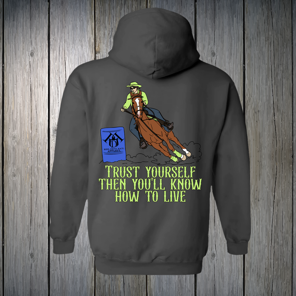 KALEY AMBASSADOR FUNDRAISER -UNISEX HOODIE